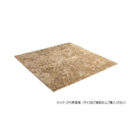 ラグ 制菌加工 約3畳 約200×250cm ホットカーペット対応 ベージュ 3985139 |b03