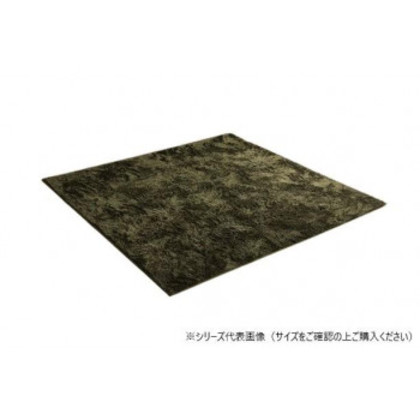 ラグ 制菌加工 約3畳 約200×250cm ホットカーペット対応 グリーン 3985179 |b03
