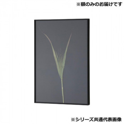 アルナ 額縁 シンプル ALUMIUM RIM マットブラック A3 16723 |b03