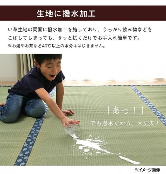 純国産い草 上敷き はっ水 カーペット 双目織 本間1畳 約95×191cm 1010180015102 |b03_2
