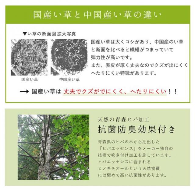 ラグ 正方形 夏用 ふっくら い草 191×191cm ネイビー 1050950193604 |b03_5