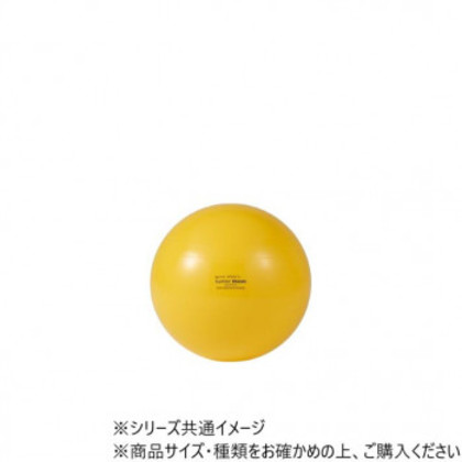 ダンノ(DANNO) ギムニク カラーボール 75 D5433 |b03