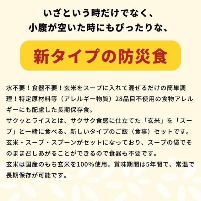 アルファー食品 サクッとライス 和風五目スープ 190g 40袋セット 11421680 |b03_2