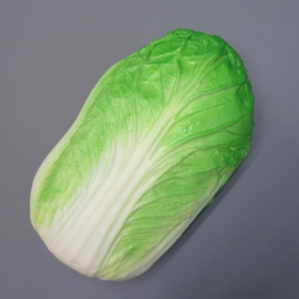 日本職人が作る 食品サンプル 新鮮・白菜 IP-246 |b03