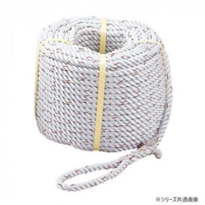 プロメイト ナイロンロープ三ッ打ち φ12x50m R-1205N |b03