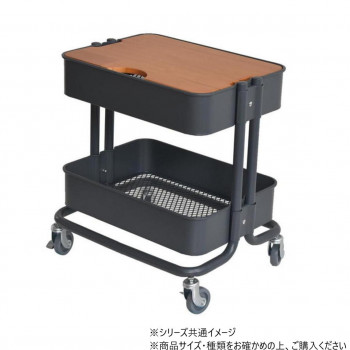 アレキサンダーディシプリン 非典型症例と難症例 実際の症例で学ぶ