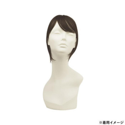 プリシラ 白髪かくしウィッグ 人毛100％  ロング 人毛ダークブラック ST-102-ZBDK |b03