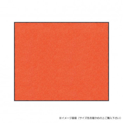 (クリーンテックス) スタンダードマットS    オレンジ  75×90  cm |b03