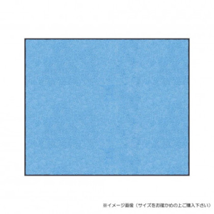 (クリーンテックス) スタンダードマットS    スカイ・ブルー  75×90  cm |b03
