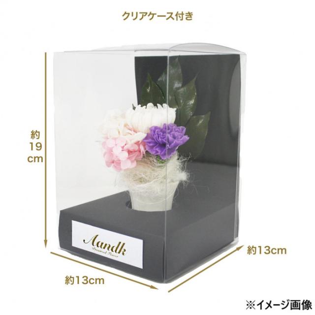 A&K プリザーブドフラワー (花器付きクリアケース入り/ピンク) ローズ バラ ネージュ フラワーアレンジ (ギフト/プレゼント/母の日) A\u0026K プリザーブドフラワー (花器付きクリアケース入り⁄ピンク) ローズ