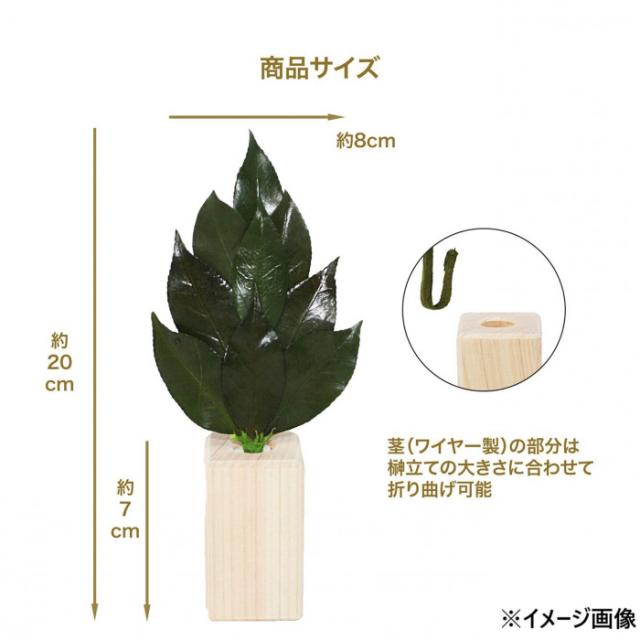 A＆K 日本製プリザーブド ミニS榊角立て 鳥居付き神棚大セット ST-036 |b03