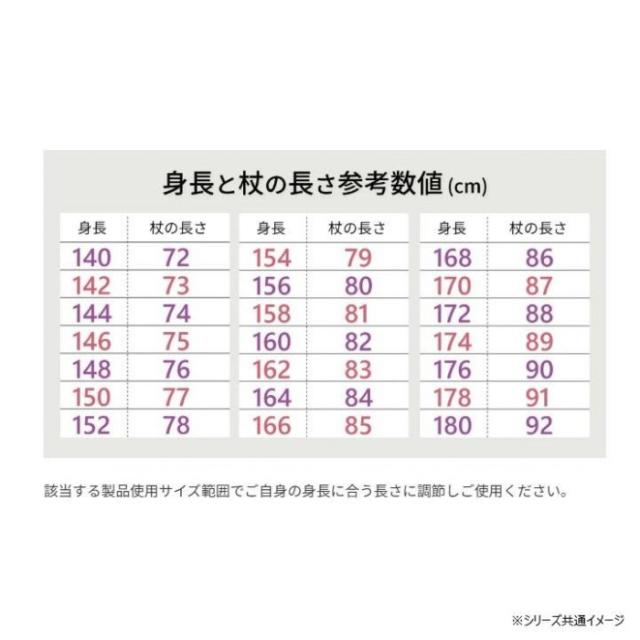 SINANO シナノ 杖 グランドカイノス ドンナ (革巻) アルストロメリア 603072 |b03