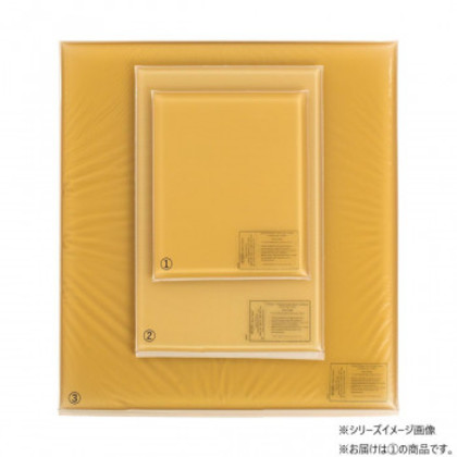 アクション・ジャパン 平状アクションパッド 小 40402 |b03