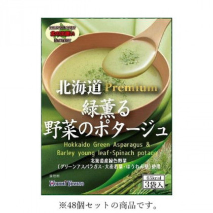 北海大和 北海道緑薫る野菜のポタージュ 48g(16g×3袋)×48 |b03