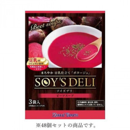 北海大和 ソイズデリ ビーツスープ 48g(16g×3袋)×48 |b03
