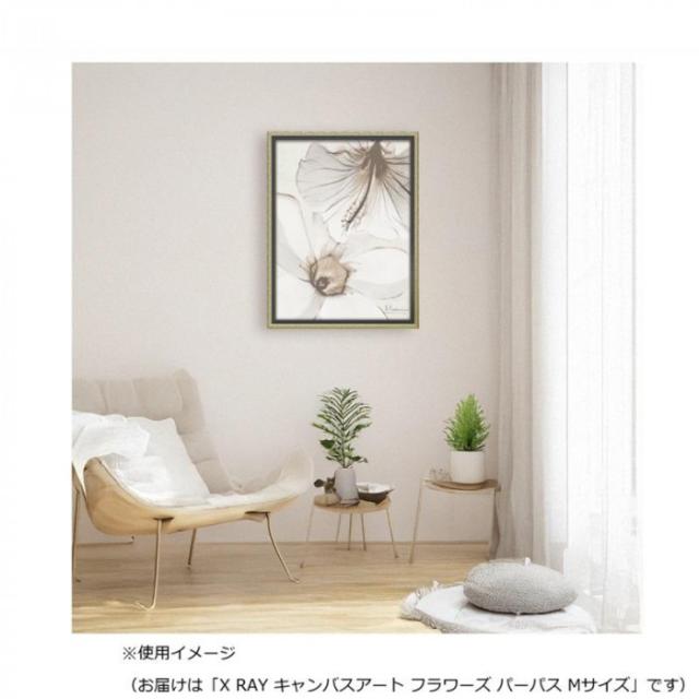 ユーパワー X RAY キャンバスアート「フラワーズ パーパス」 Mサイズ  XR-12504 |b03_3