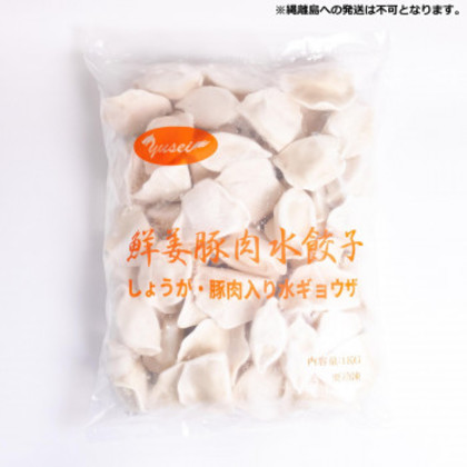 友盛貿易 友盛 鮮姜(生姜)豚肉水餃子 1kg×12pc 0215172 |b03