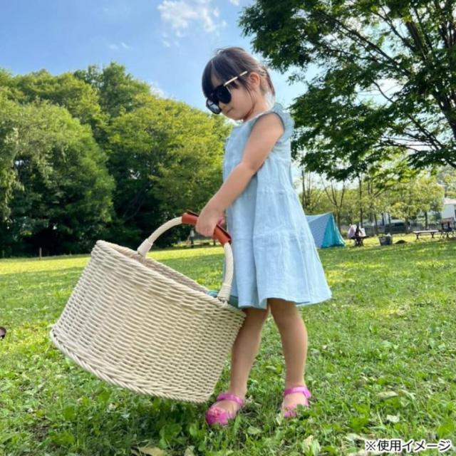 サンリツ キレーネ プリュス 洗える超抗菌素材のオーバルドッグ用キャリーバスケット WH 3P031WH |b03_2