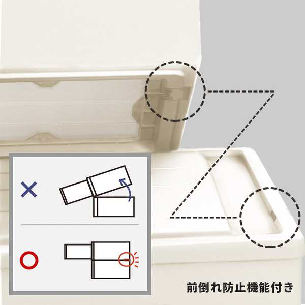 送料無料 （まとめ） 天馬 Fits フィッツケース クローゼット W390×D530×H180mm カプチーノ S-53CAP 1個 〔×2セット〕  |b04｜au PAY マーケット