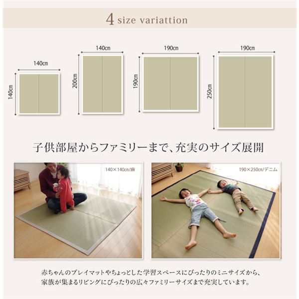 送料無料 い草 ラグマット/絨毯 〔約140×140cm 麻〕 日本製 無染土