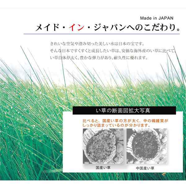 送料無料 日本製 い草 ラグマット 〔オリエンタル柄 グリーン 約191