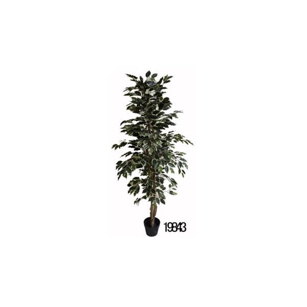 送料無料 観葉植物 造花 フィカス B 6号鉢対応 幅80cm リビング