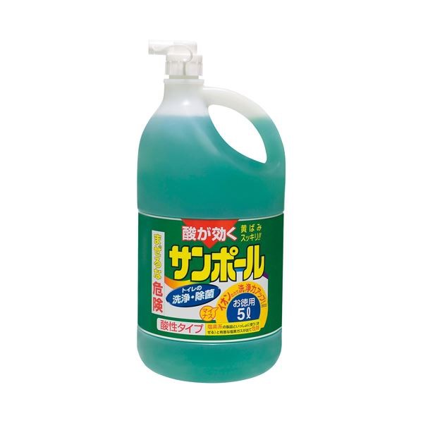 送料無料 （まとめ） 大日本除蟲菊 サンポール 3L〔×10セット〕 |b04の