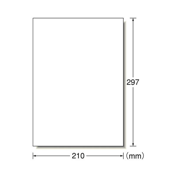 まとめ）エーワン コピー機ラベルマット紙・ホワイト A4 ノーカット