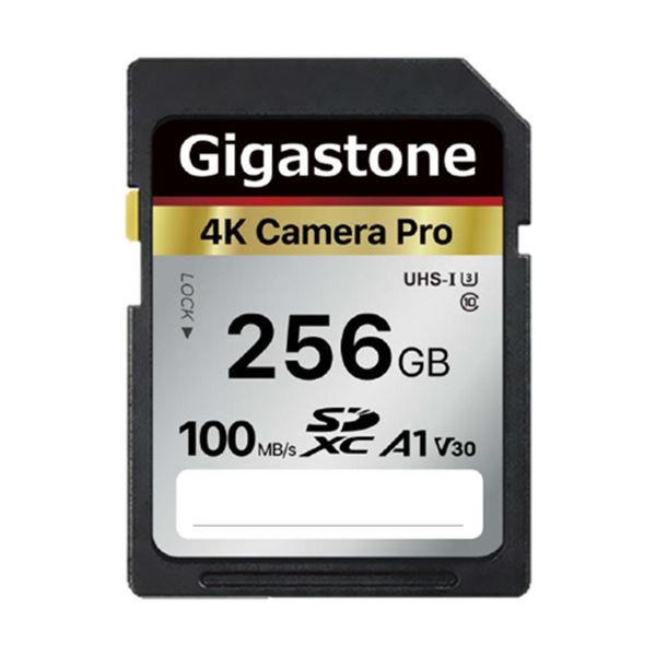 送料無料 （まとめ）Gigastone SDXCカード 256GB V30 UHS-1 U3 A1 GJSX