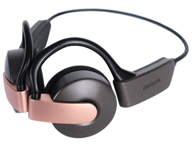 FINAL　VR ゲーミング ASMR 専用イヤホン カナル型 VR3000 for Gaming　FI-VR3DPLMB final(ファイナル) FIVR3DPLMB VR ゲーミング ASMR 専用イヤホン