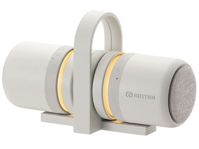 NSK有線式防犯カメラ単体 NS-F201C