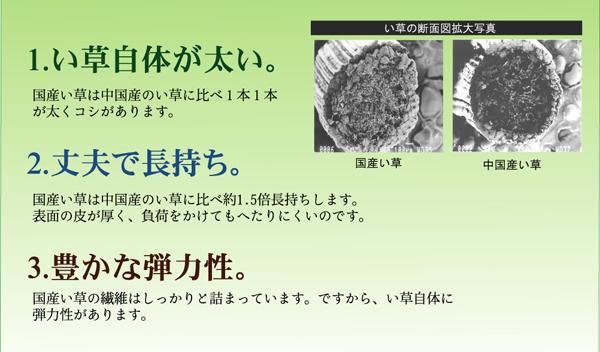 日本製 国産 い草 藺草 ラグマット じゅうたん カーペット 敷き物 /絨毯 【ブロック柄 グリーン 約140×200cm】 調湿 抗菌 清潔 防臭 耐久性抜群 〔リビング〕 緑