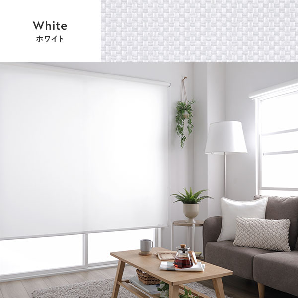 ウォッシャブル ロールスクリーン ライトグレー ロールカーテン タチカワロールスクリーン】ジョルノ ラルクシールド ウォッシャブル