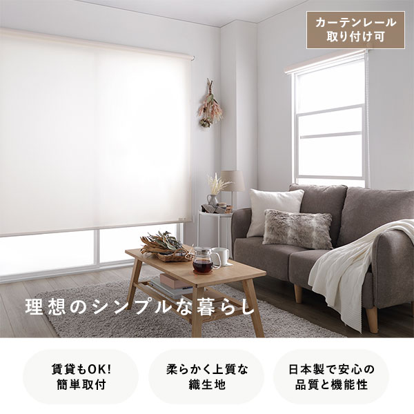 モダン ロールスクリーン 〔無地ウォッシャブル 90cm×220cm ブルー〕 日本製 巻取りスピード調整機能付き 『ティオリオ』〔代引不可〕 モダン ロールスクリーン 〔無地ウォッシャブル 90cm×220cm ブラウン