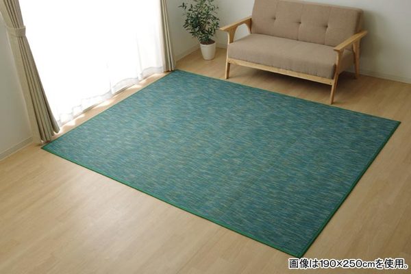 バンブー ラグマット/絨毯 〔ブラック 約190×190cm〕 竹製 無地 抗菌作用 高耐久性 〔リビング〕〔代引不可〕 バンブー ラグマット じゅうたん カーペット 敷き物 ⁄絨毯 ブラック