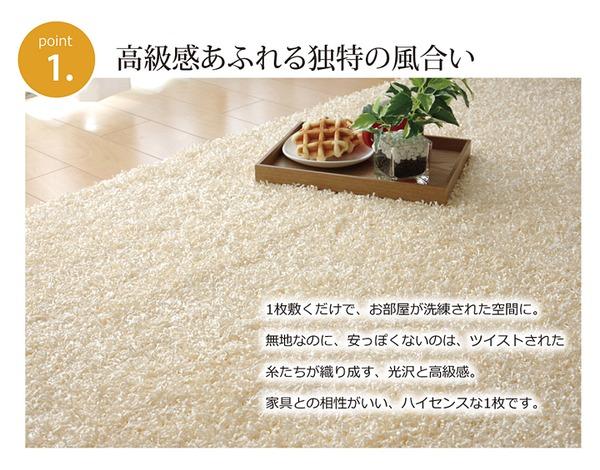 ラグマット/絨毯 〔2畳 無地 ブラウン 約190×190cm〕 日本製 防炎 抗菌 防臭 防ダニ 通年使用 シャギー タフト 〔リビング〕〔代引不可〕 ラグ 2畳 190×190cm 北欧 冬 暖かい カーペット ラグマット ホット