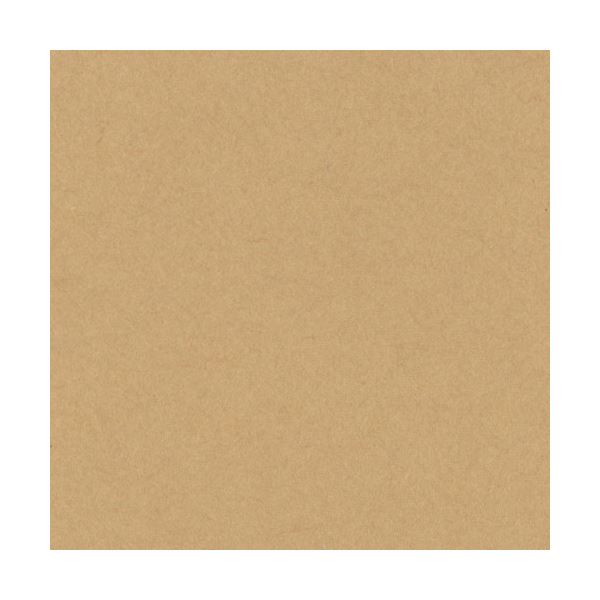 （まとめ）リンテック ニューカラーR 四つ切 うすちゃ 4NCR-109 1パック(100枚)【×5セット】 送料無料の通販は