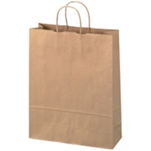 ジョインテックス 手提袋 丸紐 茶 大 300枚 B289J-B6 頼れる強靭な持ち手で、事務や業務に最適なお得なセット ジョインテックスの手提げ袋、太くて丈夫な丸紐付き、茶色の大サイズ300枚セット、あなたの仕事をサポートします 送料無料の通販は