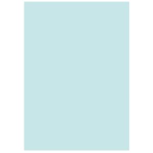 北越製紙 カラーペーパー/リサイクルコピー用紙 【B4 500枚×5冊】 日本製 国産 ブルー(青) 青