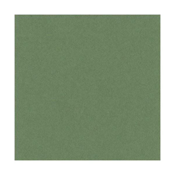 1着でも送料無料 まとめ)リンテック ニューカラーR 八つ切 オリーブ 8NCR-316 1 描画・絵画