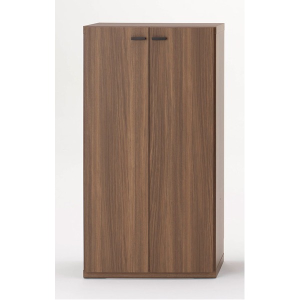 真作】掛軸 津端道彦 達磨図 力強い墨彩表現 大正～昭和期 合箱入 T164