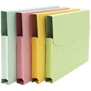 まとめ） TANOSEE インデックス（PP） A4タテ 2穴 5色5山 1セット（40