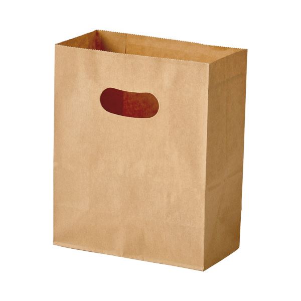 （まとめ）パックタケヤマ 手提げ紙袋 イーグリップ茶無地 S XZT52023 1パック(50枚)【×10セット】 送料無料の通販は