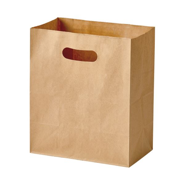 （まとめ）パックタケヤマ 手提げ紙袋 イーグリップ茶無地 LL XZT52026 1パック(50枚)【×5セット】 送料無料の通販は