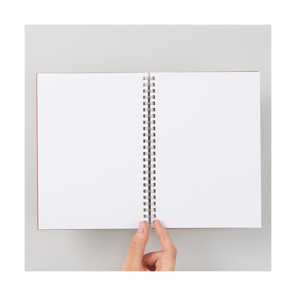 （まとめ） リヒトラブMutual オープンリングノート A5タテ 24穴 5mm方眼罫 リーフ50枚付属 アイボリー N-2673-16 1冊 【×5セット】 乳白色 送料無料の通販は