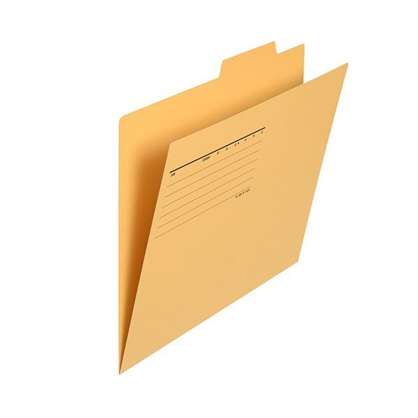 （まとめ）プラス 個別フォルダー エコノミータイプA4 イエロー FL-081IF 1パック(10冊)【×10セット】 黄 送料無料の通販は