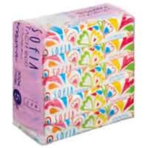 マスコー製紙 ソフィアタッチエコ 5個×20パック 環境に優しいフィルム包装のティッシュペーパーが、事務や業務に最適 ソフィアタッチエコの心地よさを、5個×20パックでお届けします 送料無料の通販は 9,177円