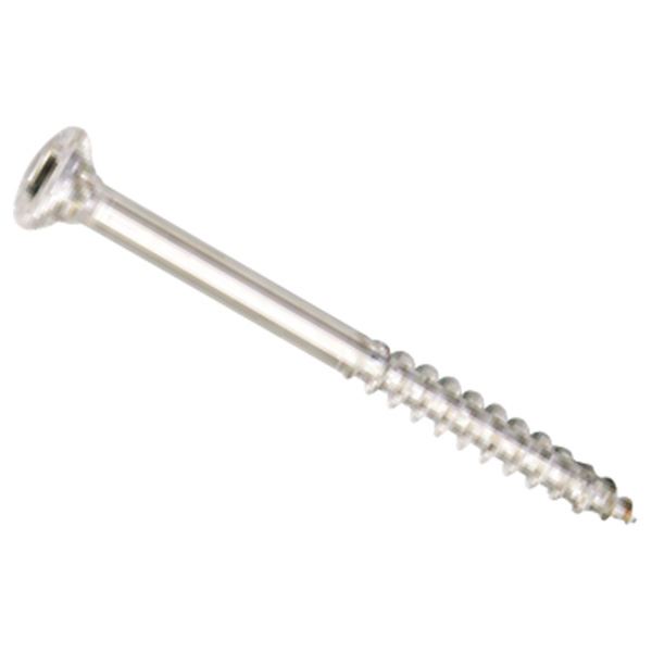 水上 ステンレスウッドデッキビス 55mm パシペート [162本入] 水上の美しさを引き立てる、耐久性抜群の55mmステンレスウッドデッキビス 162本入りでお得 パシペート加工で錆びにくく、長持ち 水上でのデッキ作りに最適な逸品 送料無料の通販は