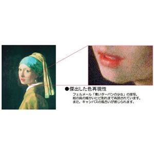 世界の名画シリーズ、プリハード複製画 ピエール・オーギュスト・ルノアール作 「野の花の帽子をかぶった少女」（額縁付）