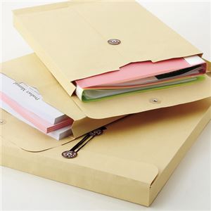 （まとめ） TANOSEE 保存袋 角2 335×255mm マチ幅35mm 1パック（10枚） 【×10セット】